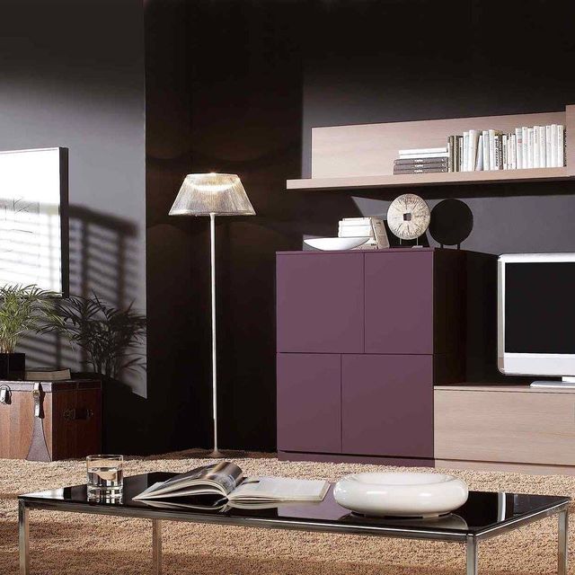 TV UNIT