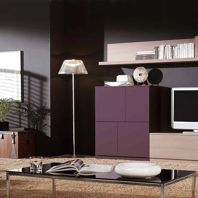 TV UNIT