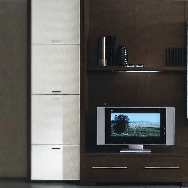 TV UNIT